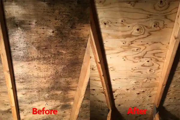water damage restoration service Kenmare